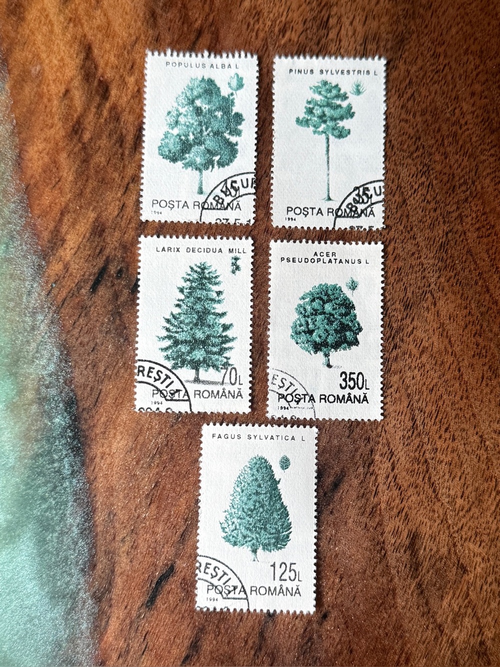 Vintage Romanian Postage Stamps - Romania Trees Stamp Set